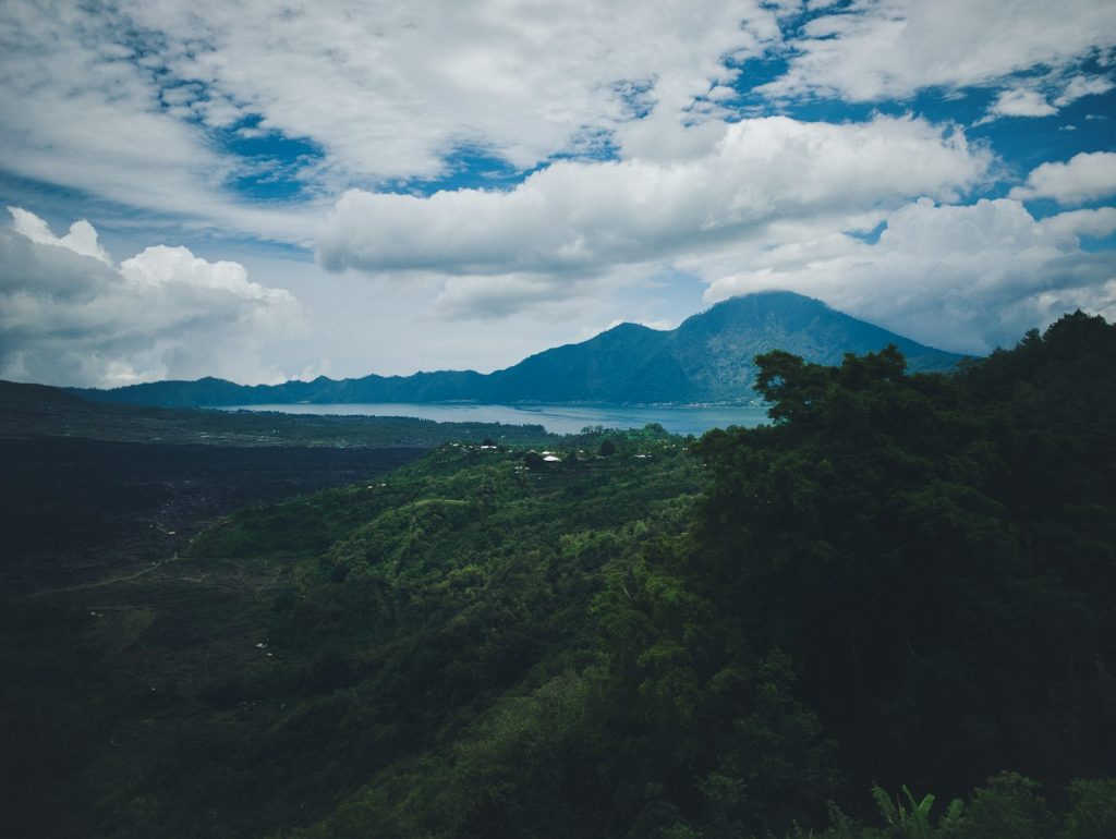 Bali Turtle Island Development (BTID): The Company Behind KEK Kura Kura Bali